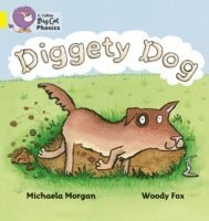 bokomslag Diggety Dog