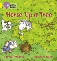 Horse up a Tree 1