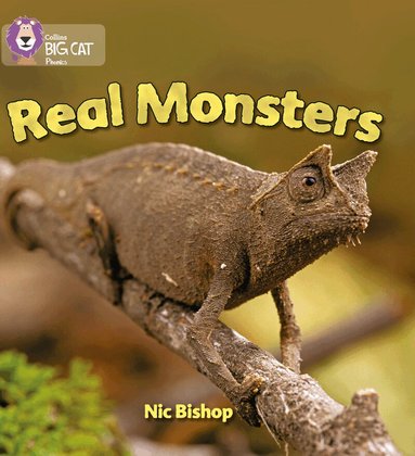 Nic Bishop - Real Monsters, Häftad