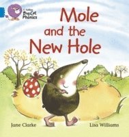 bokomslag Mole and the New Hole