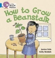bokomslag How to Grow a Beanstalk