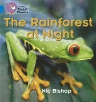 bokomslag The Rainforest at Night