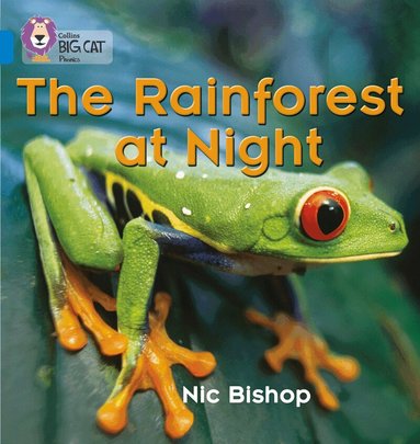 Nic Bishop - Rainforest at Night, Häftad