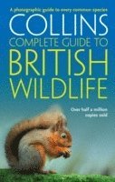 British Wildlife 1
