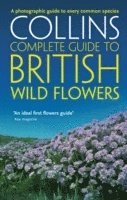 bokomslag British Wild Flowers