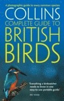 bokomslag British Birds