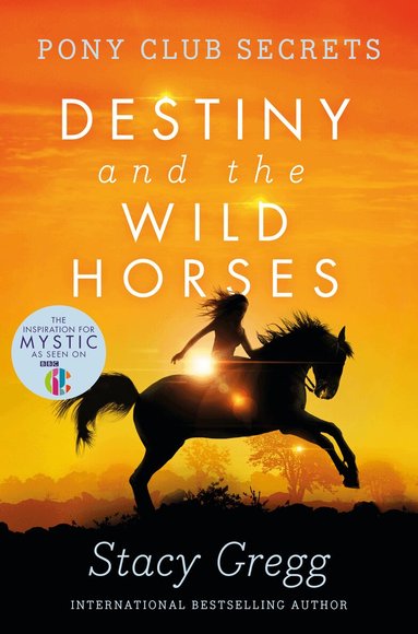 Stacy Gregg - Destiny and the Wild Horses, Häftad