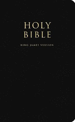 bokomslag Holy Bible
