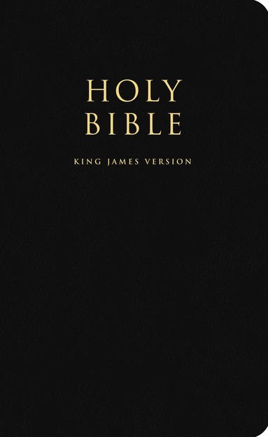 bokomslag Holy Bible