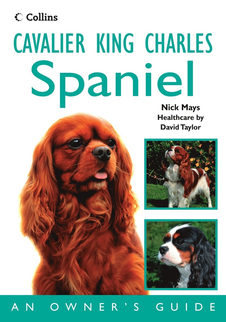 Nick Mays - Cavalier King Charles Spaniel, Häftad