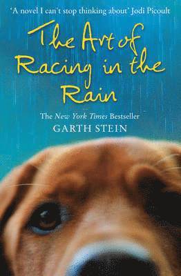The Art of Racing in the Rain 1