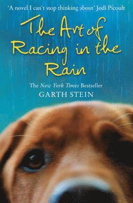 Art of Racing in the Rain 1