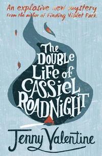 bokomslag The Double Life of Cassiel Roadnight