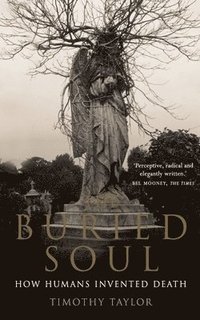 bokomslag The Buried Soul