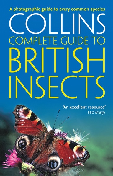 bokomslag British Insects