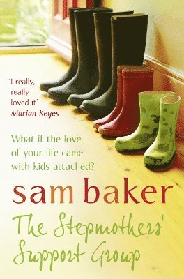 Sam Baker - Stepmothers’ Support Group, Häftad
