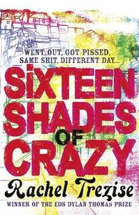 bokomslag Sixteen Shades of Crazy