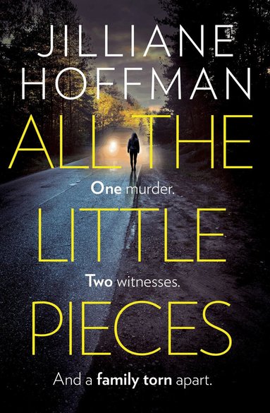 Jilliane Hoffman - All the Little Pieces, Häftad