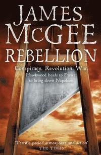 bokomslag Rebellion