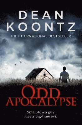 bokomslag Odd Apocalypse