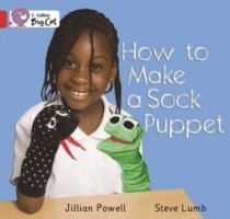 How to Make a Sock Puppet 1