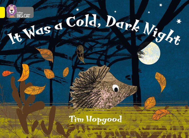 Tim Hopgood - It Was a Cold Dark Night, Häftad