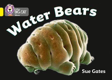 Susan Gates - Water Bears, Häftad