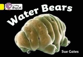 bokomslag Water Bears