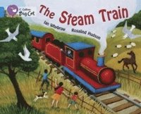 bokomslag The Steam Train
