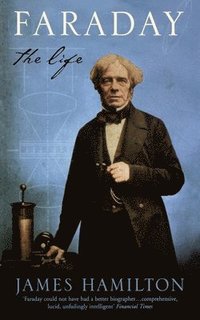 bokomslag Faraday