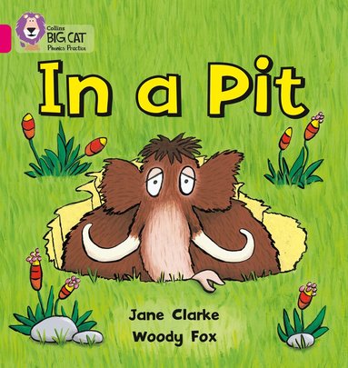 Jane Clarke, Woody Fox - In a Pit, Häftad