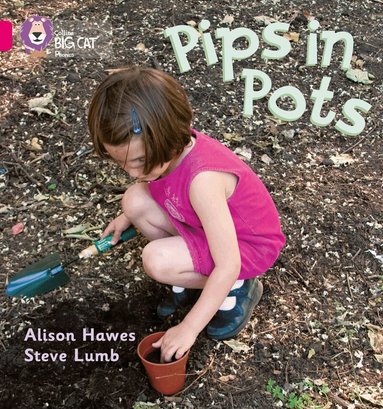 Alison Hawes, Steve Lumb - Pips in Pots, Häftad