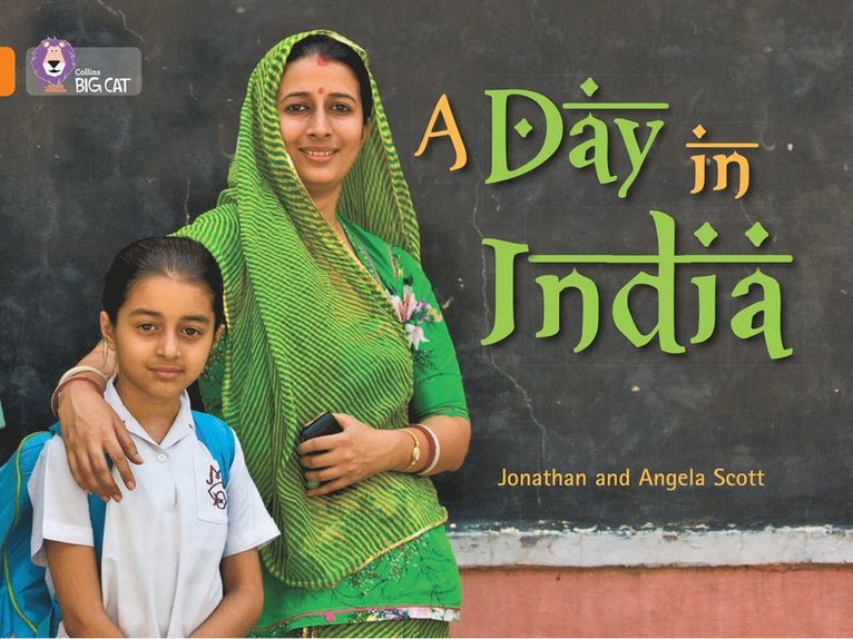 A Day in India 1