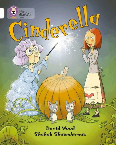 David Wood, Shahab Shamshirsaz - Cinderella, Häftad