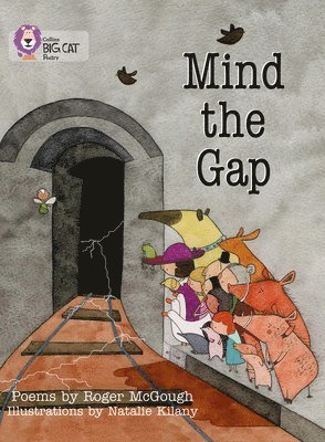 bokomslag Mind the Gap