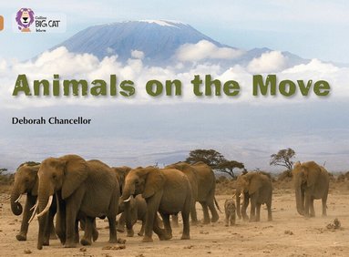 Deborah Chancellor - Animals on the Move, Häftad