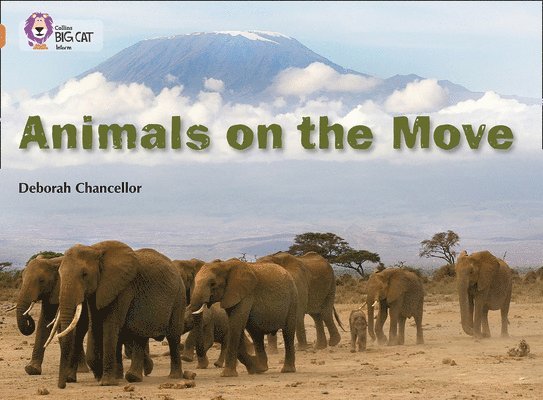 Animals on the Move 1