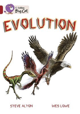 bokomslag Evolution