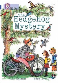 bokomslag The Hedgehog Mystery