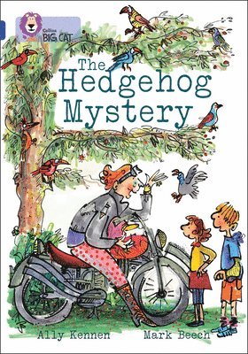 bokomslag Hedgehog Mystery