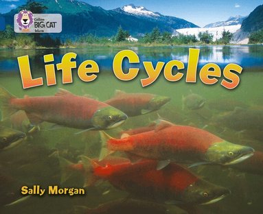 Sally Morgan - Life Cycles, Häftad
