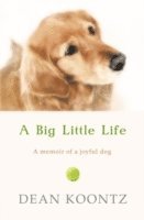 bokomslag Big Little Life
