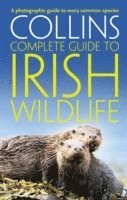 bokomslag Collins Complete Irish Wildlife
