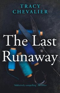 bokomslag The Last Runaway