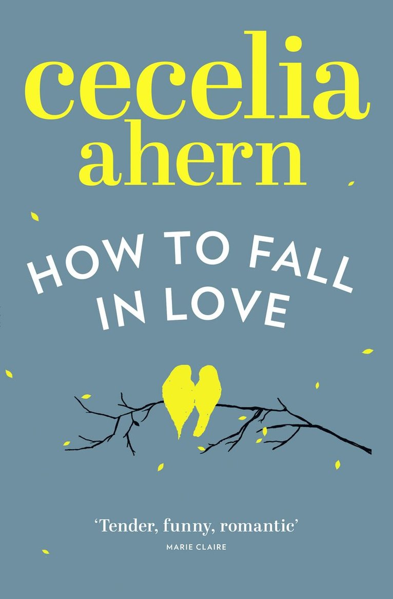 Cecelia Ahern - How to Fall in Love, Häftad