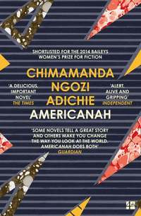 bokomslag Americanah