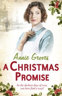 bokomslag A Christmas Promise