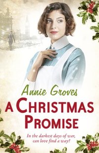 bokomslag Christmas Promise