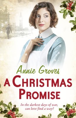 bokomslag Christmas Promise