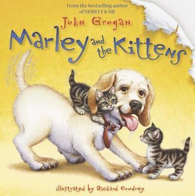 bokomslag Marley and the Kittens
